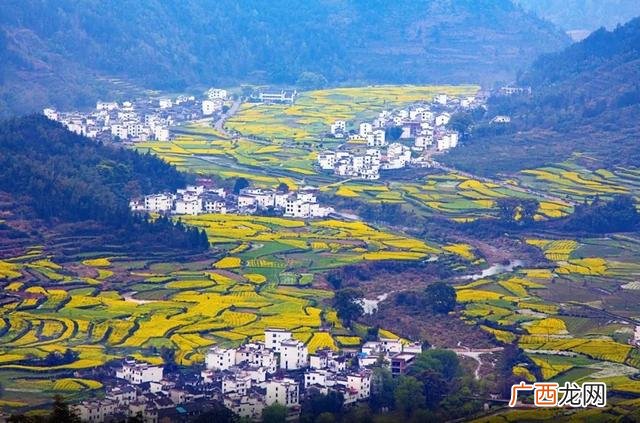 婺源旅游,婺源创业网