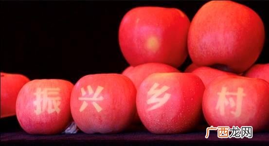 大气候小苹果改编版歌词 歌曲小苹果改编创业板