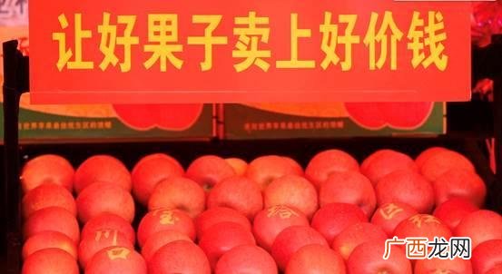 大气候小苹果改编版歌词 歌曲小苹果改编创业板