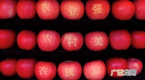 大气候小苹果改编版歌词 歌曲小苹果改编创业板