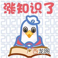 北京卫视跨年2021 东南卫视创业跨年