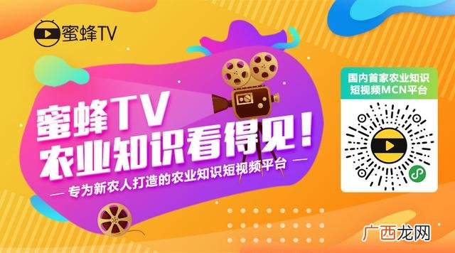 共赢理念,保持创业精神坚持共赢理念
