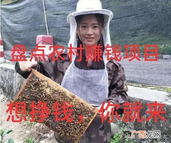 农村做什么生意赚钱 农村创业