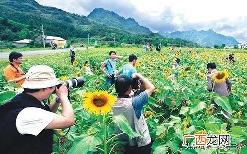 农村做什么生意赚钱 农村创业
