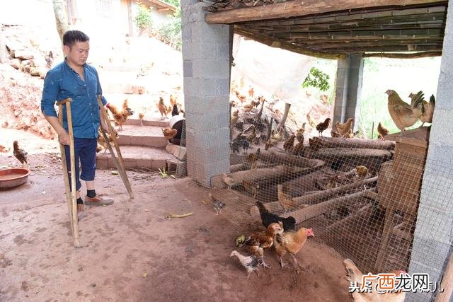 下肢残疾能做平面设计 腿部残疾适合学什么技术