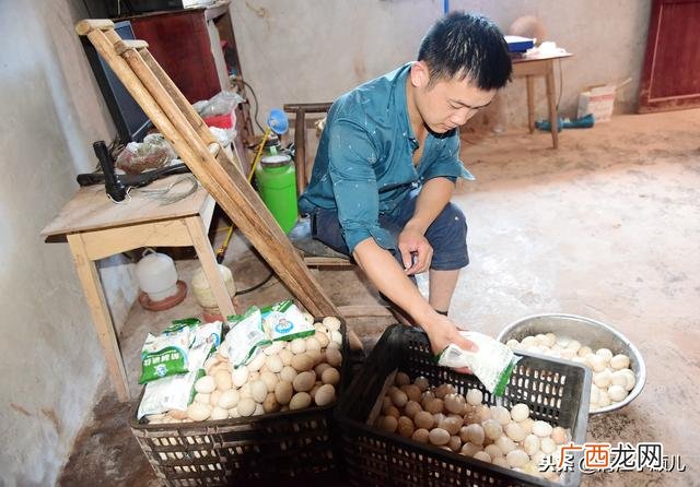 下肢残疾能做平面设计 腿部残疾适合学什么技术