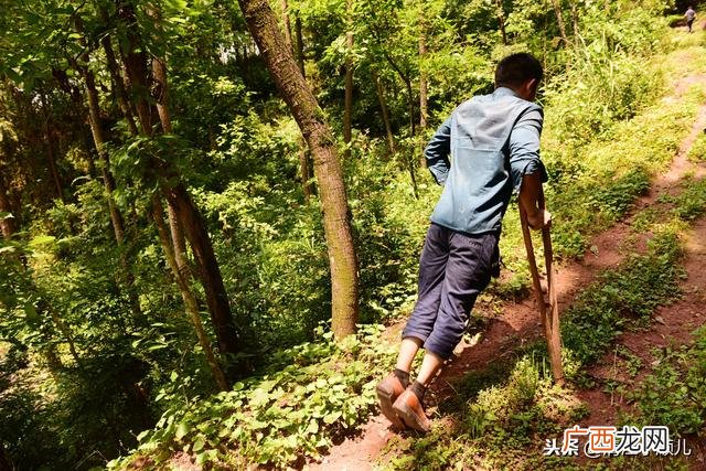 下肢残疾能做平面设计 腿部残疾适合学什么技术