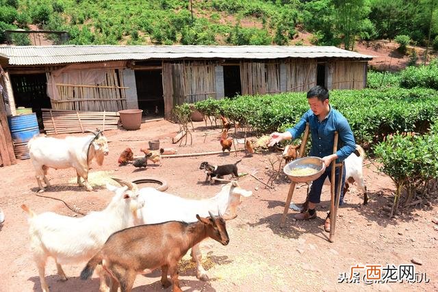 下肢残疾能做平面设计 腿部残疾适合学什么技术
