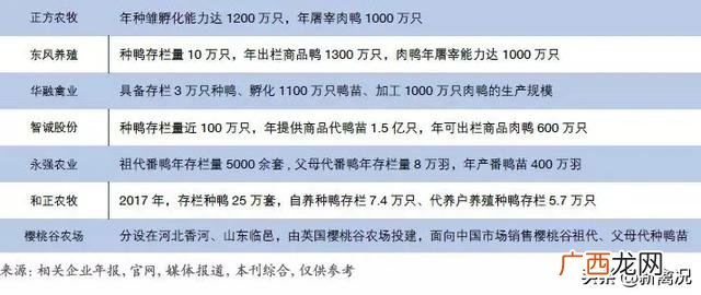 养鹅的前景和市场,养鹅合作的公司