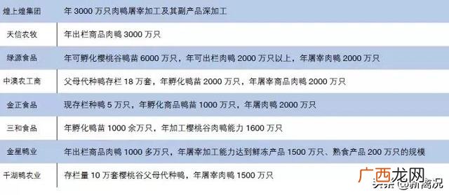 养鹅的前景和市场,养鹅合作的公司