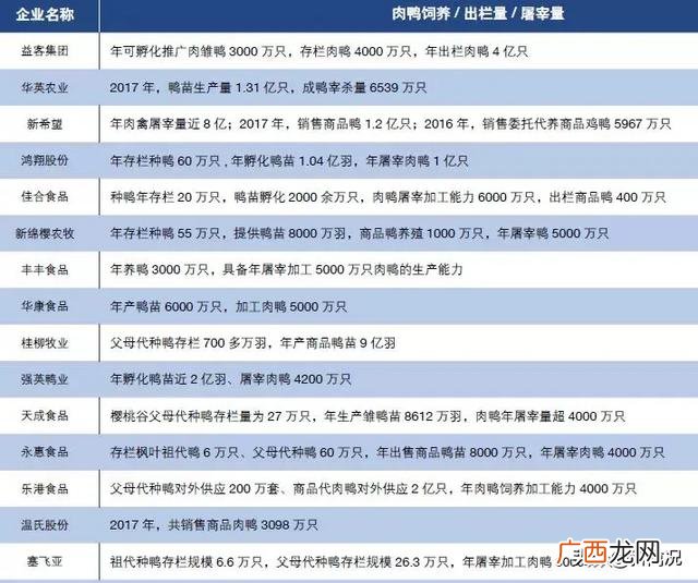 养鹅的前景和市场,养鹅合作的公司