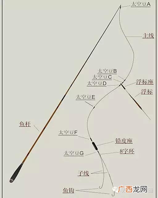6号鱼线有多粗图片,钓鱼线号对照表