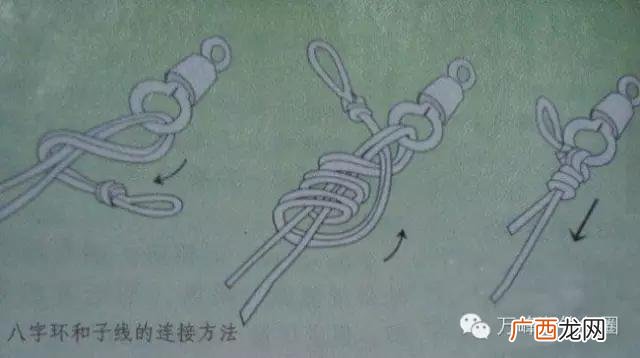 6号鱼线有多粗图片,钓鱼线号对照表