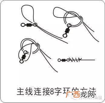6号鱼线有多粗图片,钓鱼线号对照表