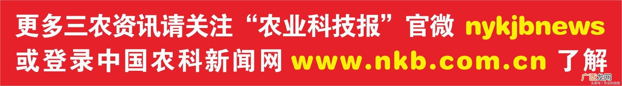 创业,杨凌创业孵化 0元扶持