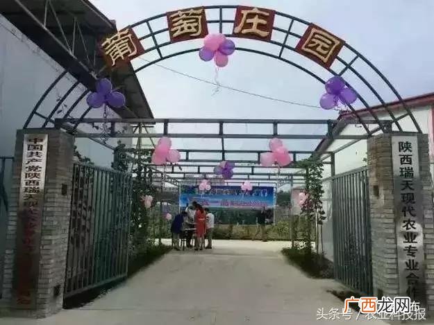 创业,杨凌创业孵化 0元扶持