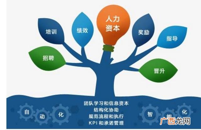 企业管理8大系统,公司管理