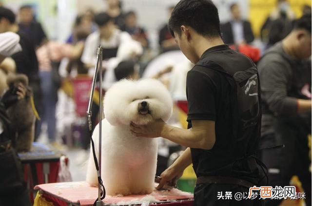 女生最吃香的十大专业 男生想创业学什么专业好