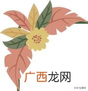 为什么唯蜜瘦只能用一个月,唯蜜瘦最新新闻