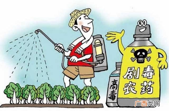 净菜无人自动售货机 无人售卖机蔬菜