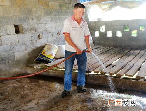 养羊如何扩大销路 我想回家创业养羊