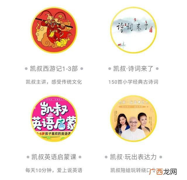 口袋神探免费全集播放,集品口袋创业