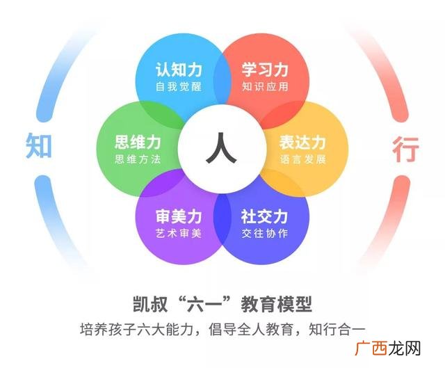 口袋神探免费全集播放,集品口袋创业