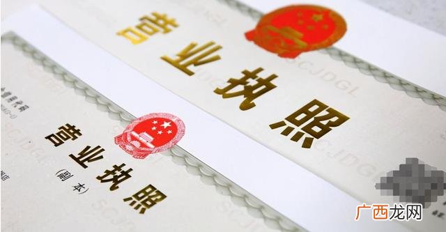宠物店创业计划书,宠物行业创业项目计划书