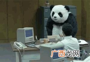 宠物店创业计划书,宠物行业创业项目计划书