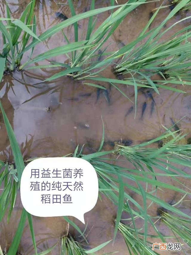 中铁锦远是骗子公司吗 锦远速运加盟靠谱吗