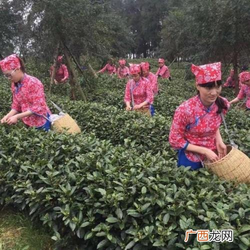 农业产业互联网,互联网农业创业