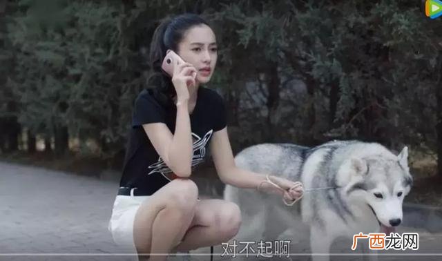 创业时代在柠檬网免费看 创业时代太狗血了