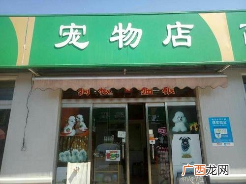 50个适合县城做的生意 义乌适合创业吗