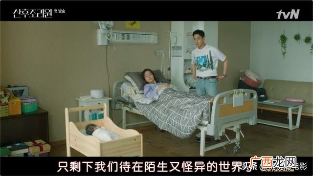 吃奶鱼项目加盟,吃奶鱼是什么项目
