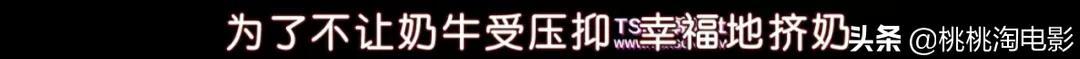 吃奶鱼项目加盟,吃奶鱼是什么项目
