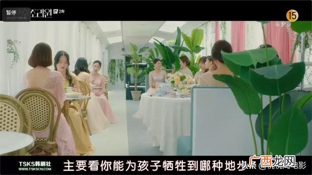 吃奶鱼项目加盟,吃奶鱼是什么项目