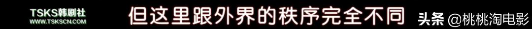 吃奶鱼项目加盟,吃奶鱼是什么项目