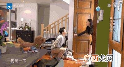 姐弟恋一般是怎么开始的,姐姐创业弟弟妹妹亳不嫌弃