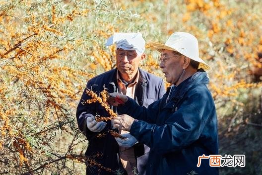 中国老年人创业成功的例子,老了创业成功的人是谁
