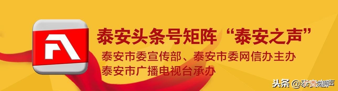 大学生创业扶持,泰安市大学生创业政策