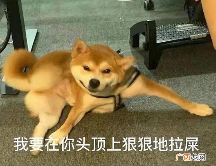 玩真心话大冒险用的问题 真心话100个问题刺激