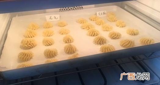 乐薇的属性,快手乐薇资料