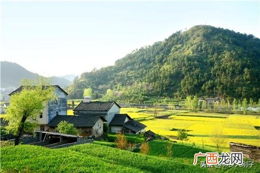 农村小工厂暴利,农村什么项目投资小赚钱快