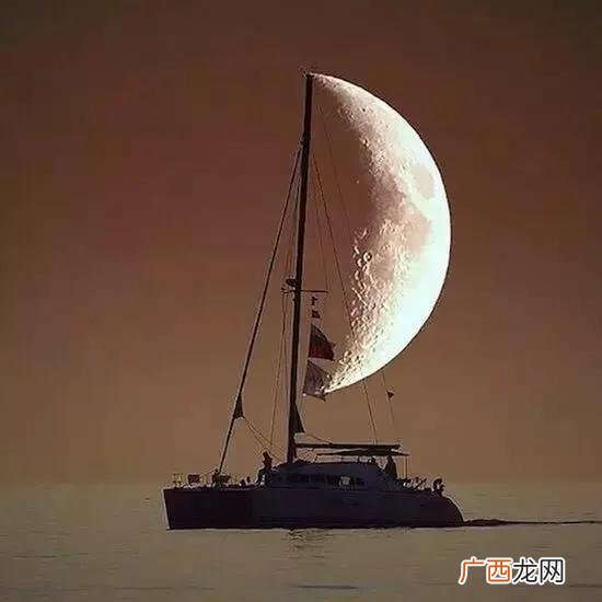 免费创业计划书下载 米多多创业计划书完整版