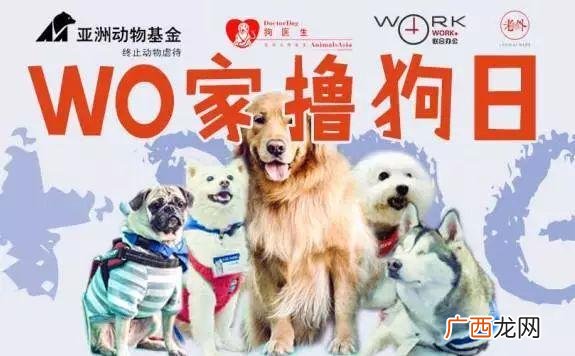 国外户外团建游戏大全 团建室内活动游戏
