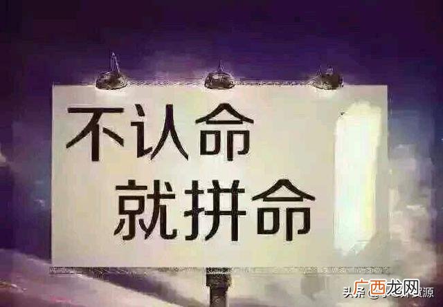 外贸创业成功率,外贸创业1.0