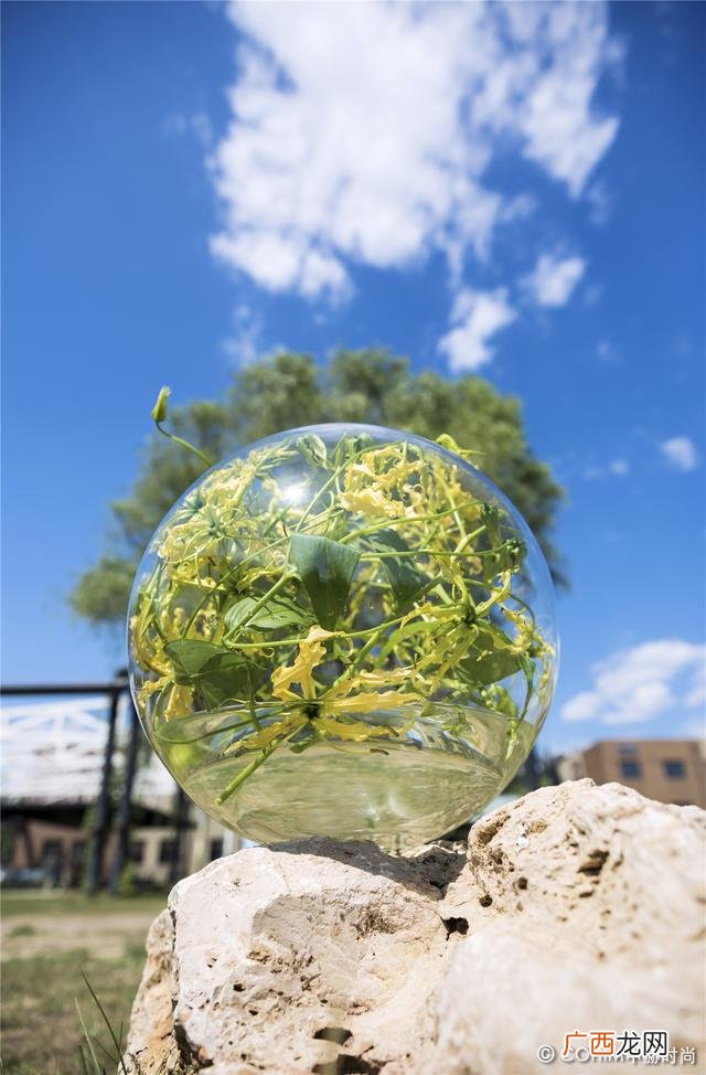 北京花艺,花艺创业培训北京