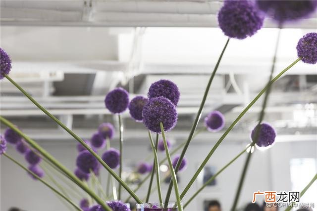 北京花艺,花艺创业培训北京