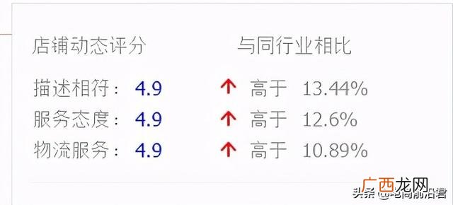 个人电商创业计划书范本 电商创业项目描述表