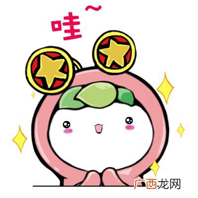 syb培训创业计划书,线上培训创业计划书